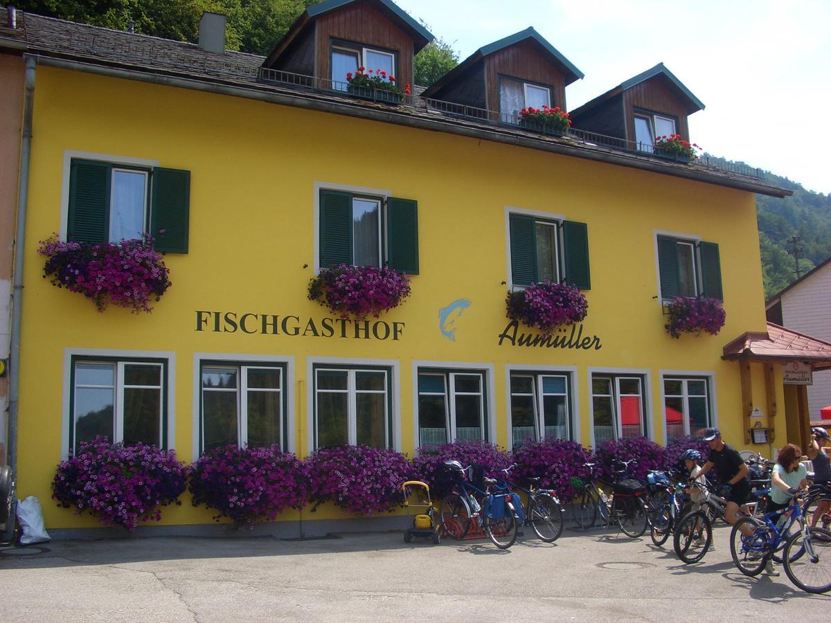 Fischgasthof Aumueller Obermuhl 外观 照片